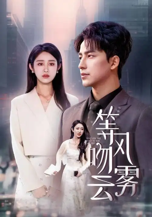 长夜灯火 热播电视剧全集手机免费在线观看
